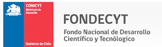 LogoFondecyt13